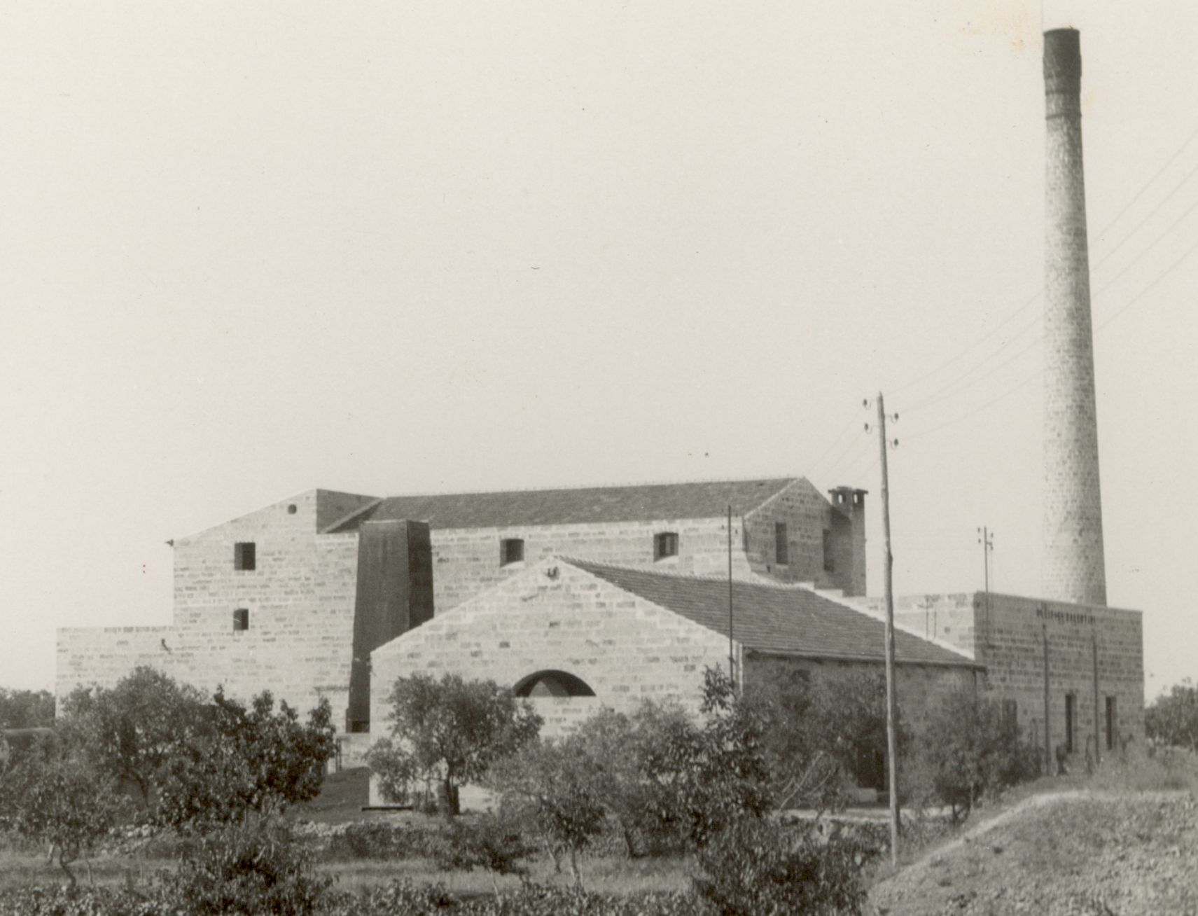 Ex Oleifici Anno 1948